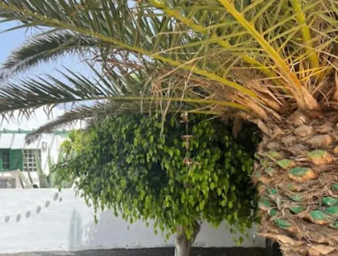 Studio In Playa Blanca (Lanzarote)