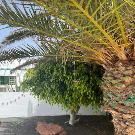 Studio In 플라야블랑카